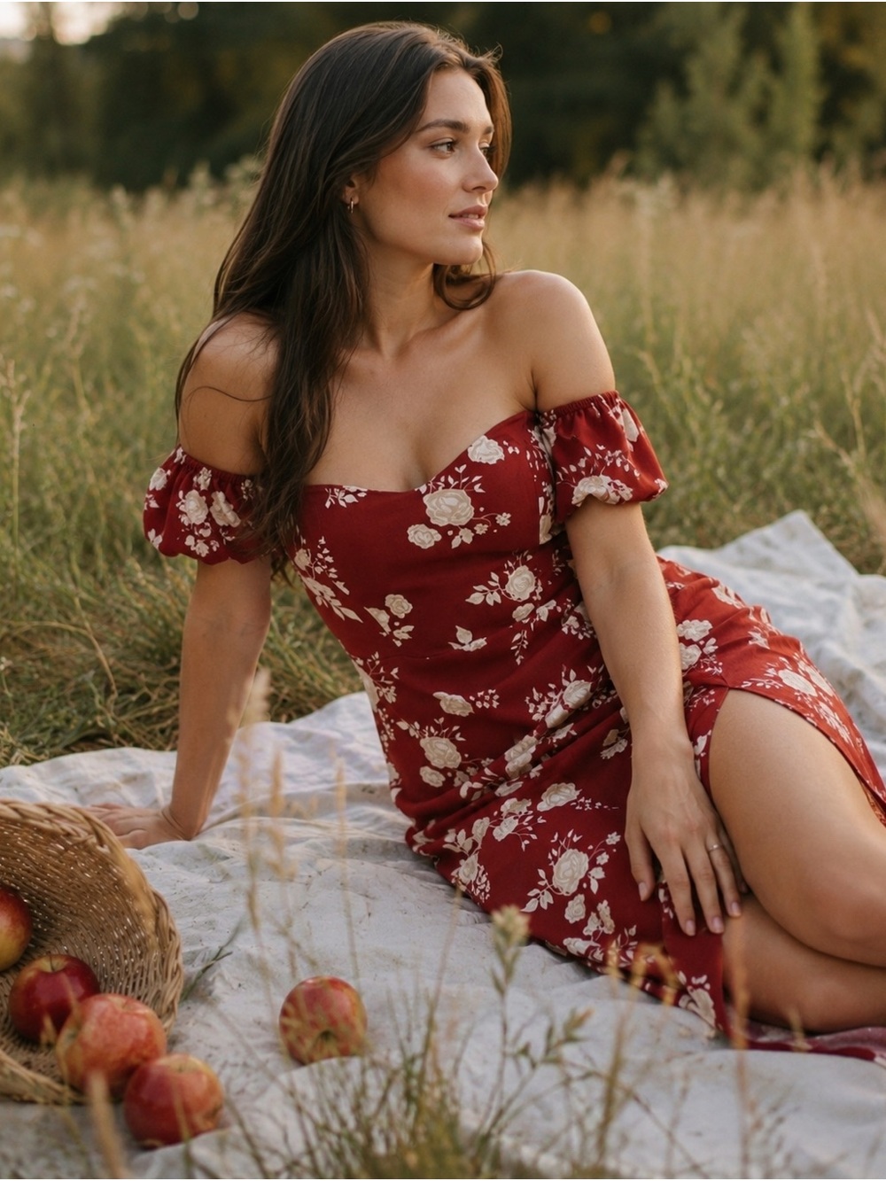 NWT Park & Fifth Marian Dress in Scarlett